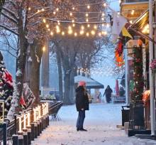 ������ ���� - �����������. ����